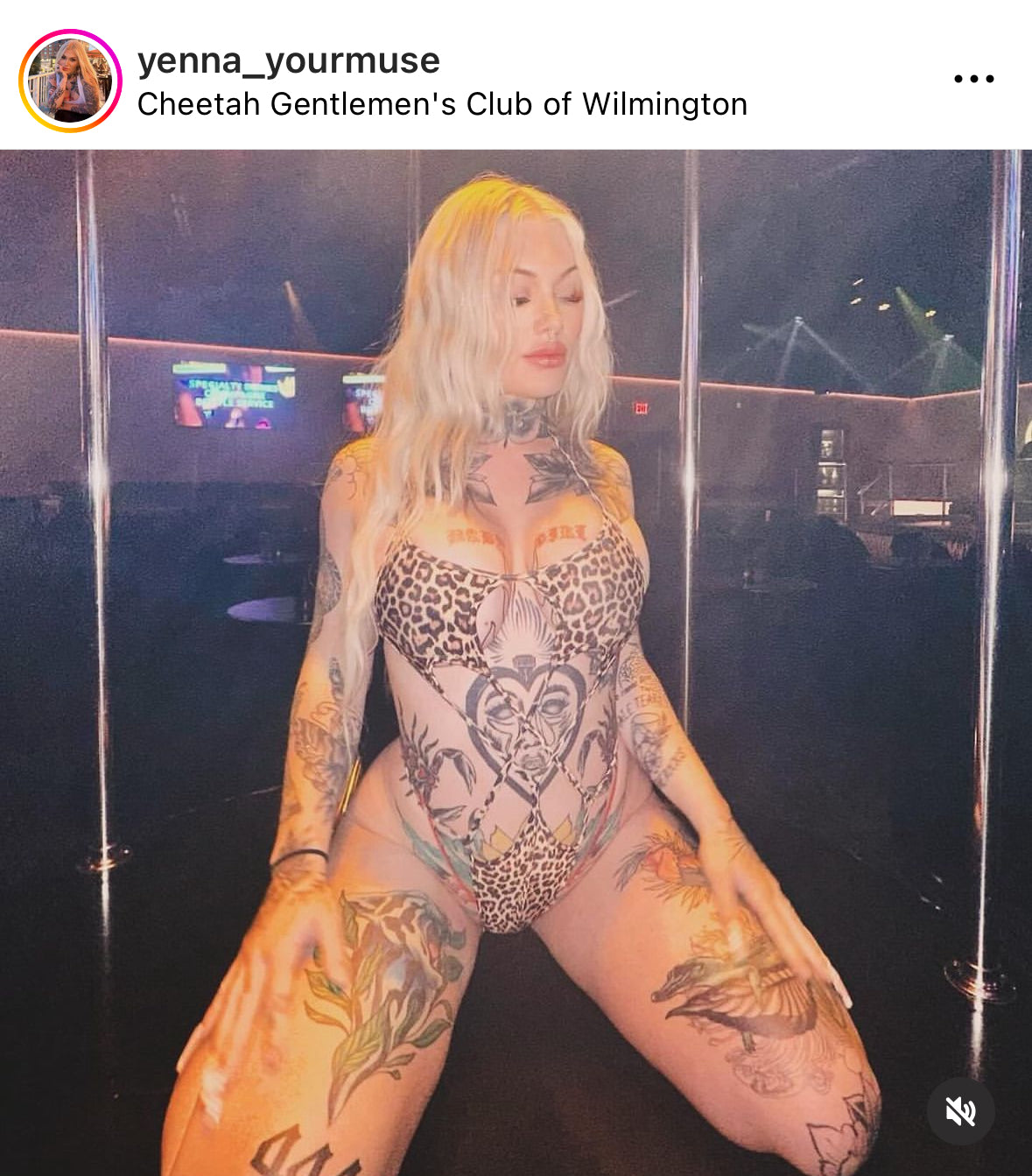 Leopard star one piece