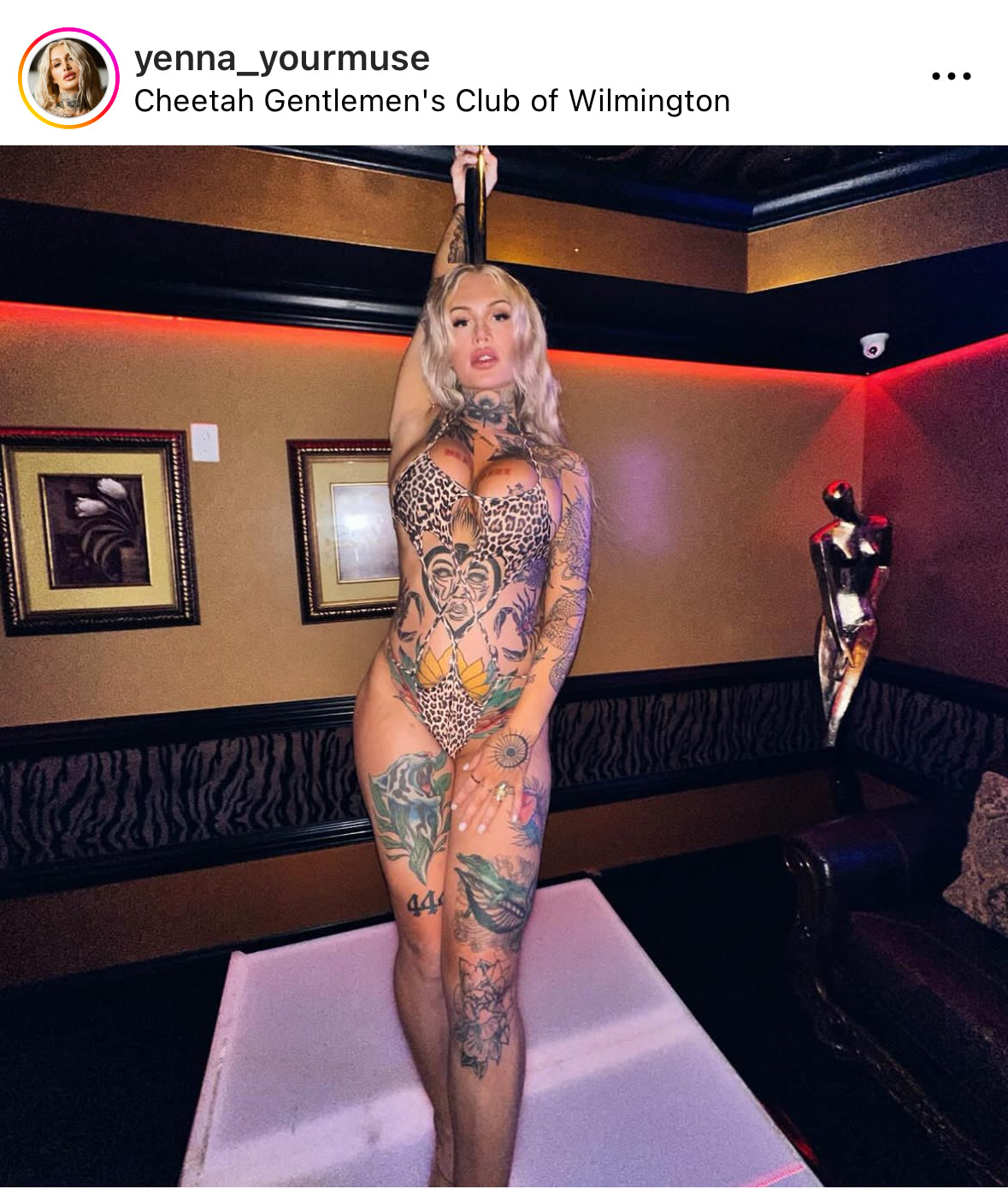 Leopard star one piece